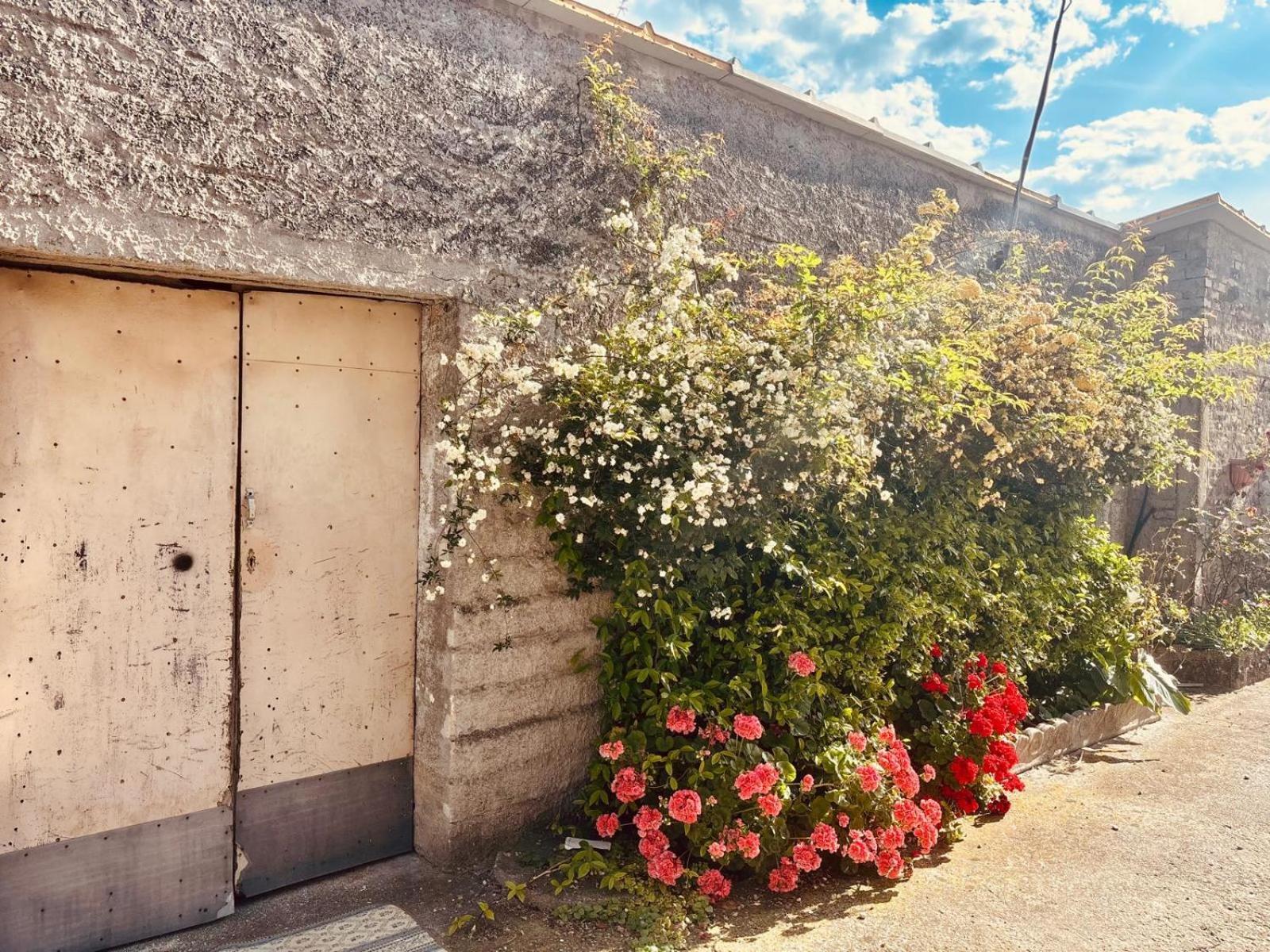 Camping Borghetti Ortona Exterior foto